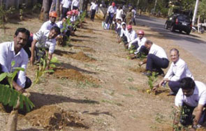 Chemplast plants 1000 trees - Plays its part in State Government scheme