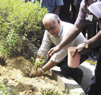 Chander Shekhar Saraf planting