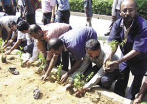 Flowserve employees planting