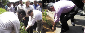 KR Varma and R Venkatramani planting the saplings.