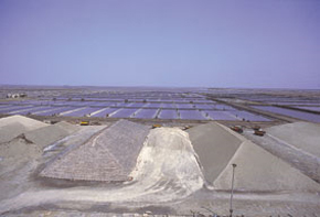 The salt heaps are covered to protect them against rain.
