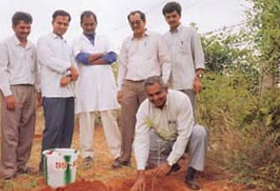 An employee of SSCL seen planting a sapling