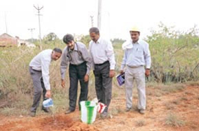 R Srinivas of KCPC plants a sapling